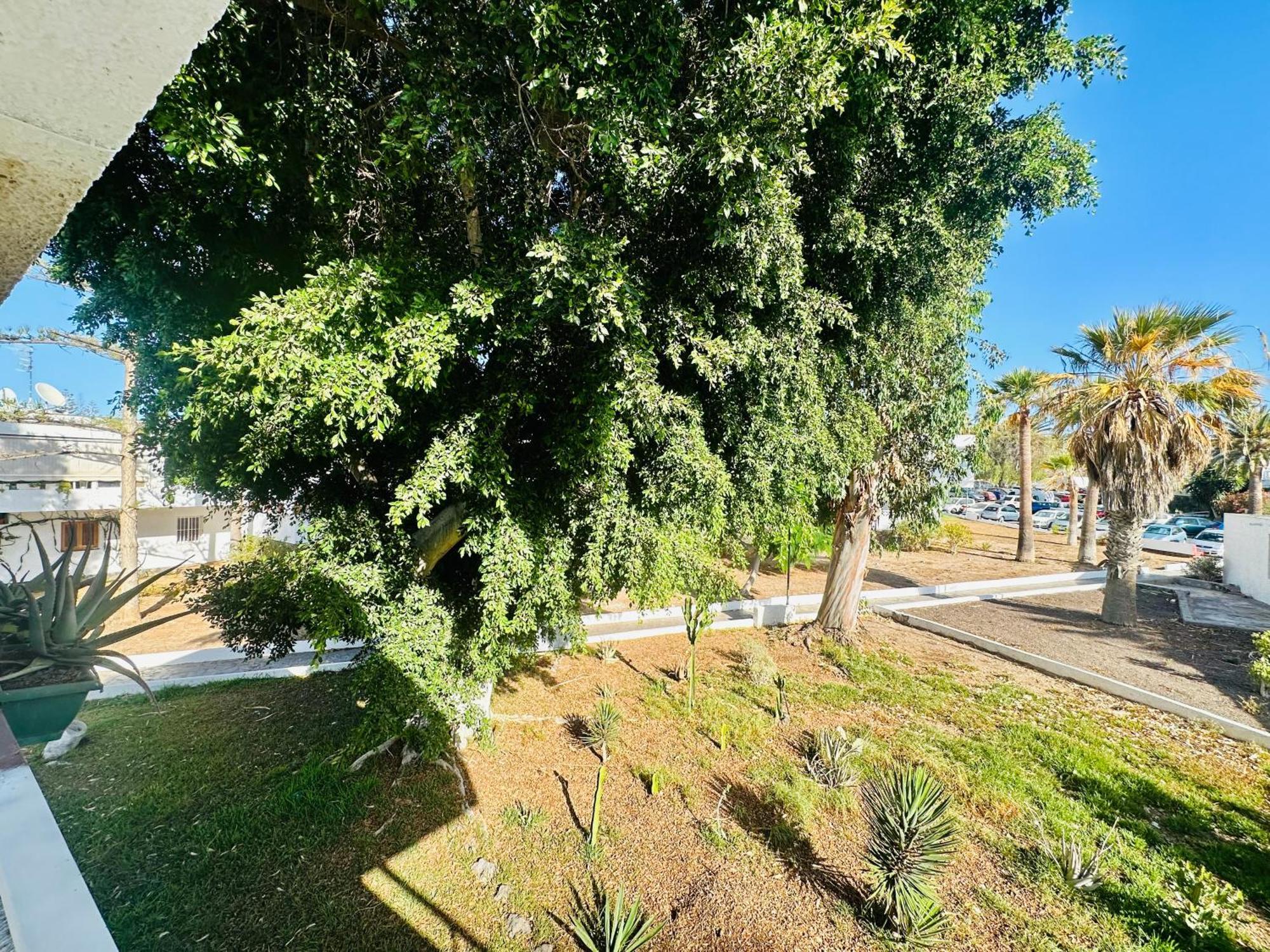 Apartamento Eureka Costa del Silencio Eksteriør billede